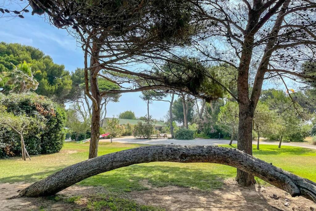 Appartement En Residence Privee, Face A La Mer Avec Acces Direct Plage Hyères Екстериор снимка